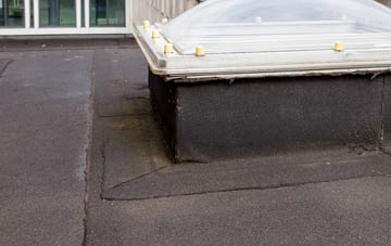 disadvantages of Plumtree Park flat roofs