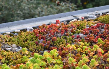 the cost of Plumtree Park green roof installation