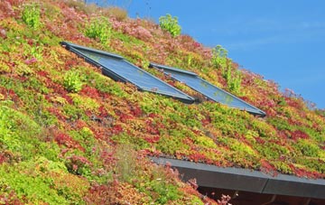 Plumtree Park living roof systems