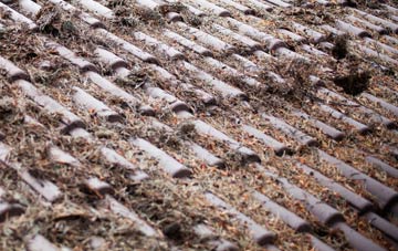 Plumtree Park roof cleaning companies